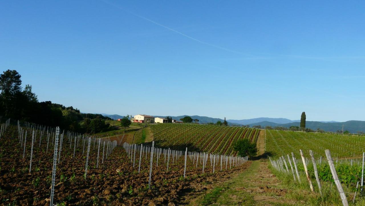 Villa Pian De Noci - Tenuta Del Palagio Mercatale Val Di Pesa Exteriör bild