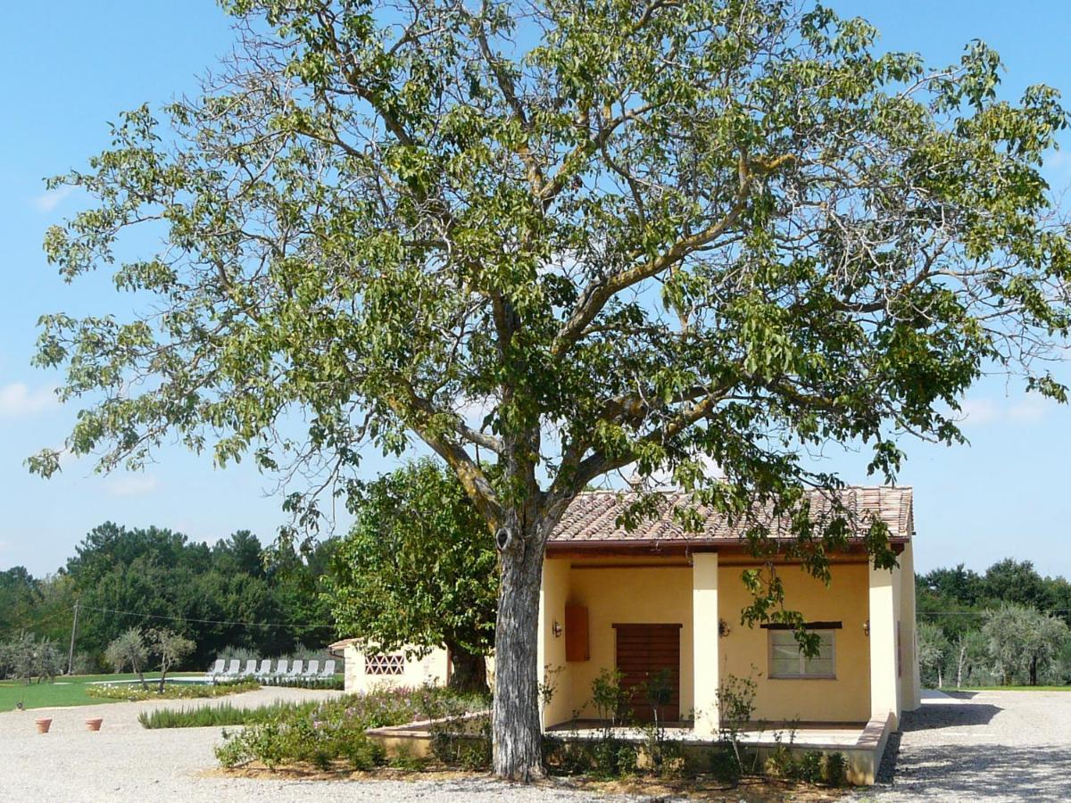 Villa Pian De Noci - Tenuta Del Palagio Mercatale Val Di Pesa Exteriör bild